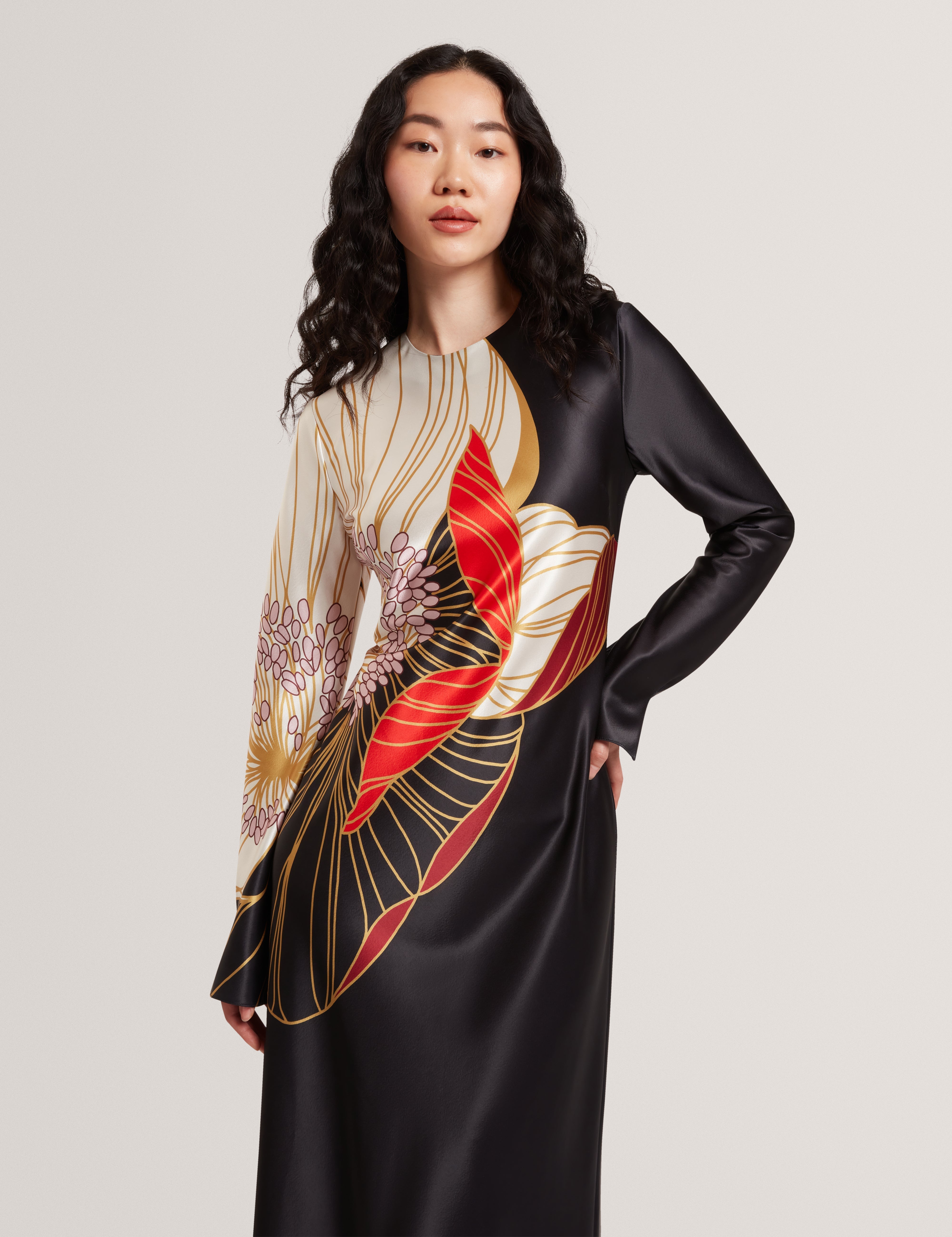 Ziara Print Long Sleeve Midi Dress Black
